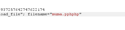 image-20250113222557414