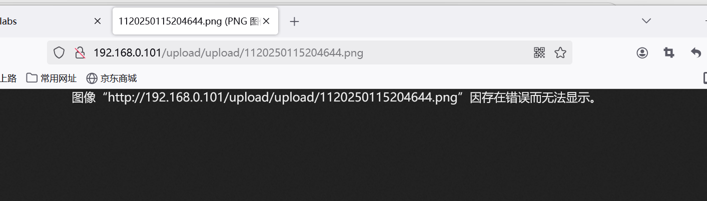 image-20250115204656908